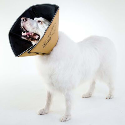 All Four Paws lemmikloomakrae "Comfy Cone" L 25 cm beež