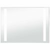 vidaXL vannitoa LED-seinapeegel 100 x 60 cm