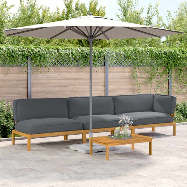 vidaXL Diivanikomplekt padjaga 4 pcs Antratsiit Tugev akatsiapuu