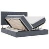 vidaXL Voodi LED-ribadega peaga Tumehall 180 x 200 cm Samet