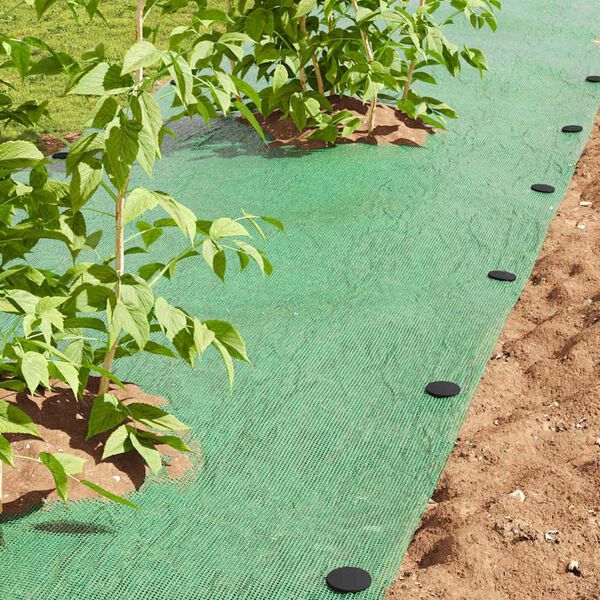 vidaXL Plastik Nõelad 100 pcs Must Ø3 x 11 cm Plastmass