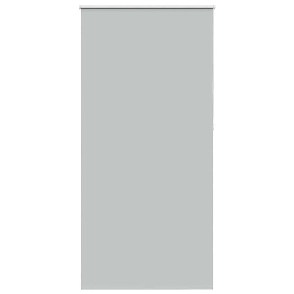 vidaXL Ruloo pimendav helehall 100x210cm Kanga laius 95,7 cm pol&uuml;ester