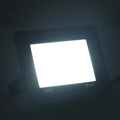 vidaXL LED prožektor, 50 W, külm valge