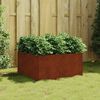 vidaXL taimekast, 80 x 80 x 40 cm, Corten teras