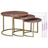 vidaXL Pesitsevad Kohvilaud 3 pcs T&ouml;&ouml;deldud mangopuit ja teras