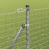 Toote pisipilt  3 / 10