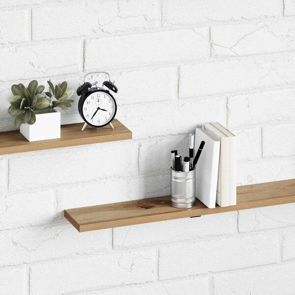 vidaXL Raamatute riiuli plaat 4 pcs Pruun 100 x 10 x 1,5 cm Tehispuit