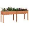 Toote pisipilt  3 / 8