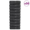 vidaXL Premium pesulapid SOLUND 50 tk antratsiit 15x21 cm 600 gsm