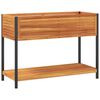 vidaXL riiuliga aia taimekast, 110 x 45 x 80 cm, akaatsiapuit ja teras