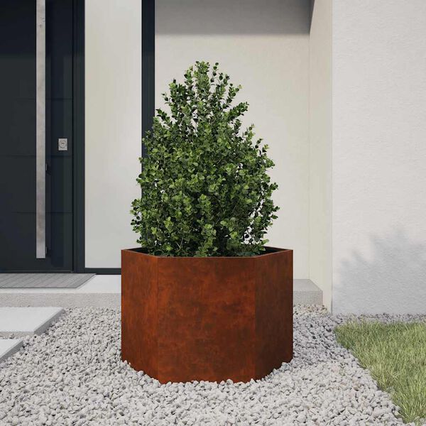 vidaXL taimekast, rooste, 60x60x45 cm, Corten teras