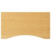 vidaXL kirjutuslaua plaat, 100 x 60 x 2,5 cm, bambus