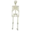 vidaXL Halloweeni Skeleton Valge 155 x 38.5 cm Plastmass