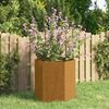 vidaXL taimekast, rooste, 40x40x45 cm, Corten teras