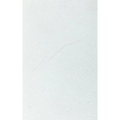 Grosfillex seinakatteplaat "Gx Wall+", 11 tk, kivi, 30 x 60 cm, valge