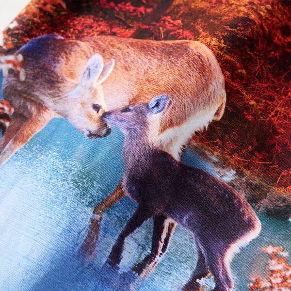 Kuvatakse tootepilt 4 / 8