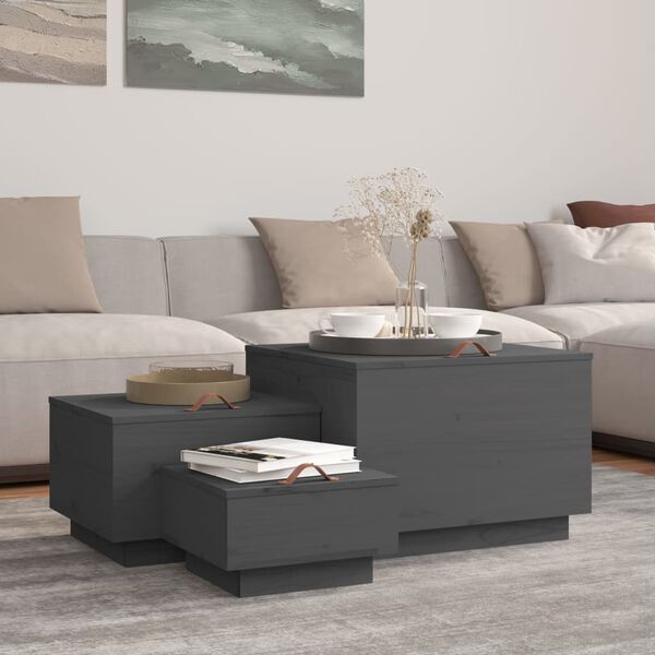 vidaXL hoiukastid kaantega 3 tk, hall, männipuit