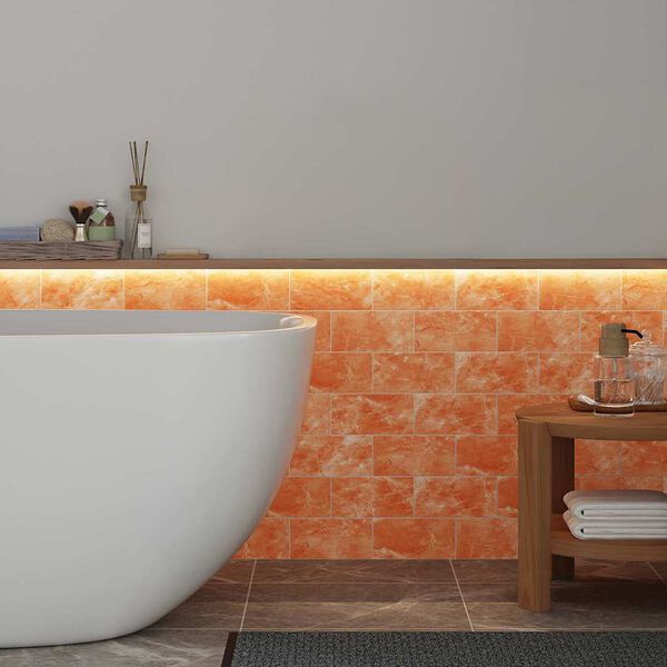 vidaXL Soolakivid 10 pcs Roosa 20 x 2,5 x 10 cm Soole kivi