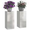 vidaXL Taimede alus 2 pcs H&otilde;bedane 24 x 24 x 55 cm Roostevaba teras