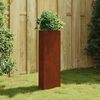 vidaXL aia taimekast, 30 x 26 x 75 cm Corten teras