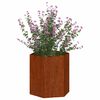 vidaXL taimekast, rooste, 40x40x45 cm, Corten teras