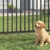 Toote pisipilt  2 / 10