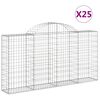 vidaXL kaarekujulised gabioonkorvid 25 tk, 200x30x100/120 cm, raud