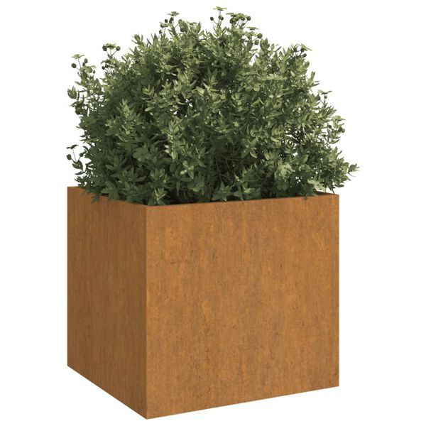 vidaXL taimekast, 2 tk, 32x30x29 cm, Corten teras