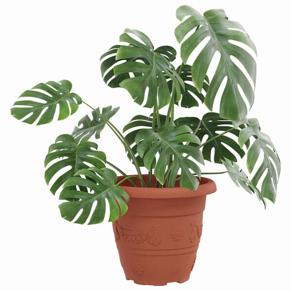 vidaXL &Uuml;mmargune lillepott 24 pcs Kohviroosa &Oslash; 26 x 21.5 cm Plastmass