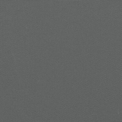 vidaXL lahtitõmmatav külgsein, antratsiithall, 220 x 1000 cm