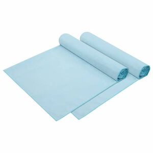 vidaXL P&auml;ikesevoodi linad 2 pcs Sinine 210 x 75 cm