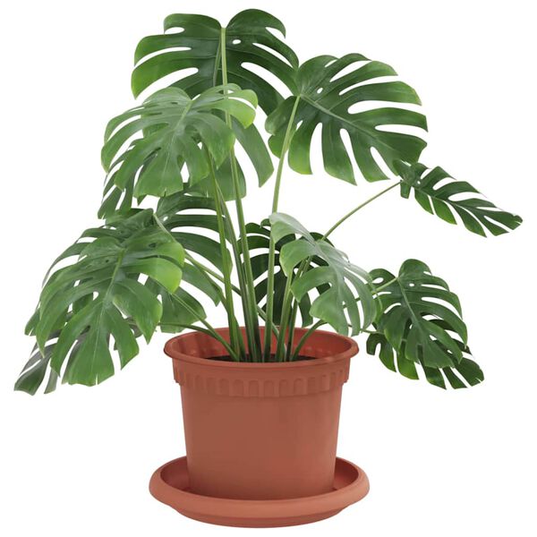 Kuvatakse tootepilt 3 / 12