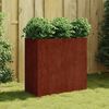 vidaXL taimekast, 80 x 40 x 80 cm, Corten teras