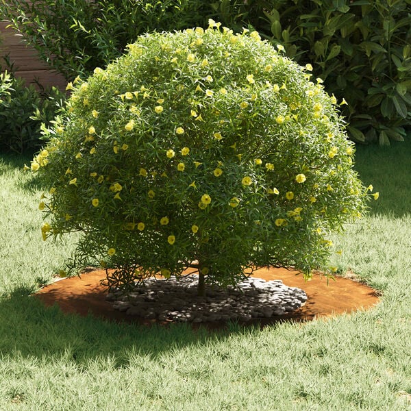 vidaXL sobiv lame puu r&otilde;ngale Pruun &Oslash;40 / 70 cm Ilmastiku teras