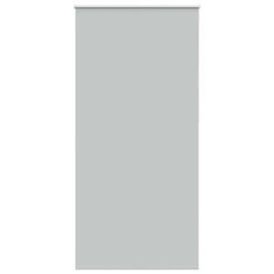 vidaXL Ruloo pimendav helehall 110x210 cm Kanga laius 105,7 cm