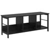 Black_oak