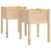 vidaXL aia taimekast 2 tk, 50 x 50 x 70 cm, toekas m&auml;nnipuit