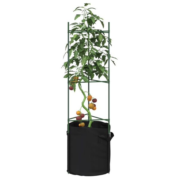 vidaXL tomatitaime tugi koos taimekotiga 6 tk, 116 cm, teras ja PP