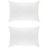 vidaXL Padi FULDA 2 pcs 50 x 75 cm 100% hane sule ja sule Valge