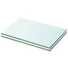 vidaXL riiulid 2 klaasist paneeli 20 x 25 cm
