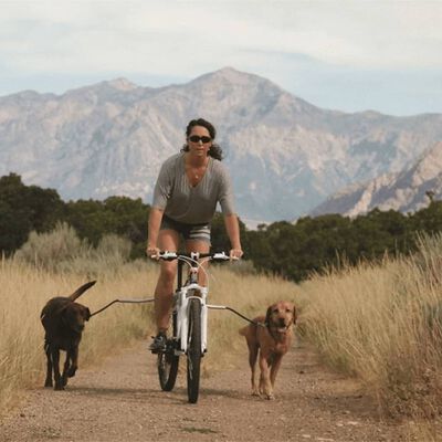 PetEgo universaalne koera jalgrattarihm "Cycleash" 85 cm