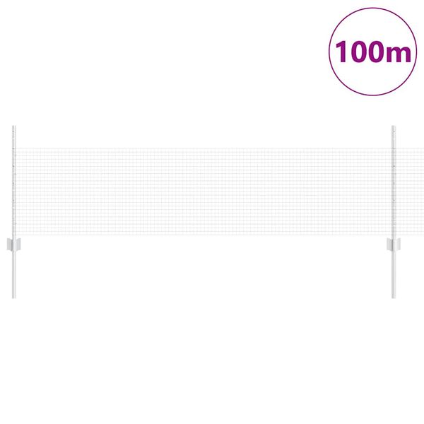 vidaXL Aed koos postiga H&otilde;bedane 0,5 x 100 m Teras