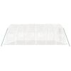 vidaXL kasvuhoone terasraamiga, valge, 30 m&sup2;, 6x5x2,3 m