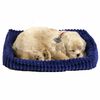 Perfect Petzzz kuldne retriiver 96118