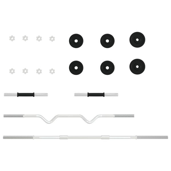 vidaXL kangi ja hantlite komplekt, 30 kg malm