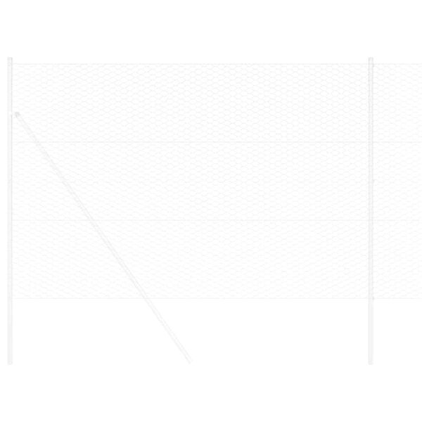 vidaXL Heksagonaalne tara H&otilde;bedane 1,5 x 10 m Tsingitud teras