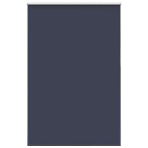 vidaXL pimendav ruloo mereline 165x210 cm kanga laius 161,6 cm