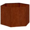 vidaXL taimekast, rooste, 60x60x45 cm, Corten teras