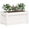 vidaXL aia taimekastid 2 tk, valge, m&auml;nnipuit