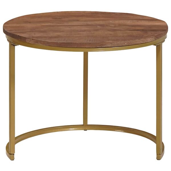 vidaXL Pesitsevad Kohvilaud 2 pcs T&ouml;&ouml;deldud mangopuit ja teras